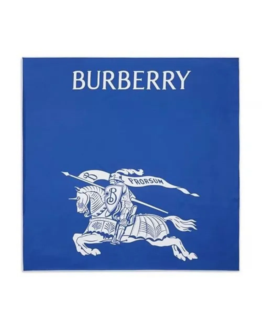 Burberry luxury equestrian